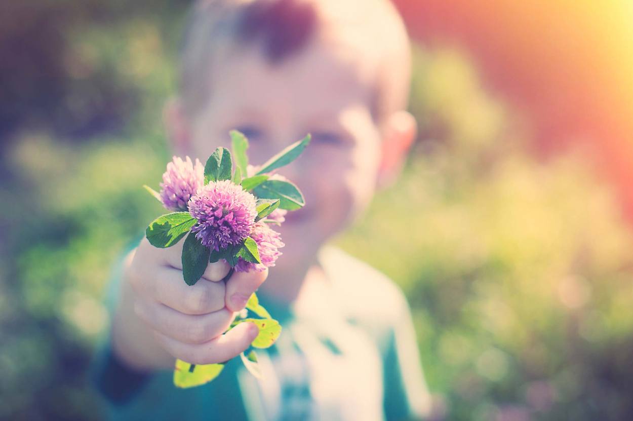 Tuo figlio sa dire “Grazie”? L’importanza della gentilezza