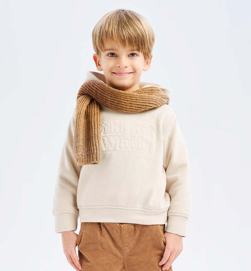 Hooded sweatshirt for boys BEIGE-0433